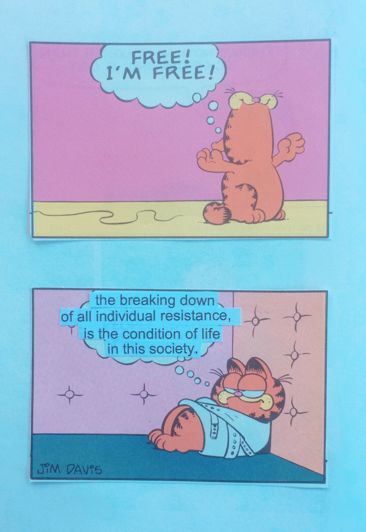 Garfield comic accompanying text from Horkheimer and Adorno